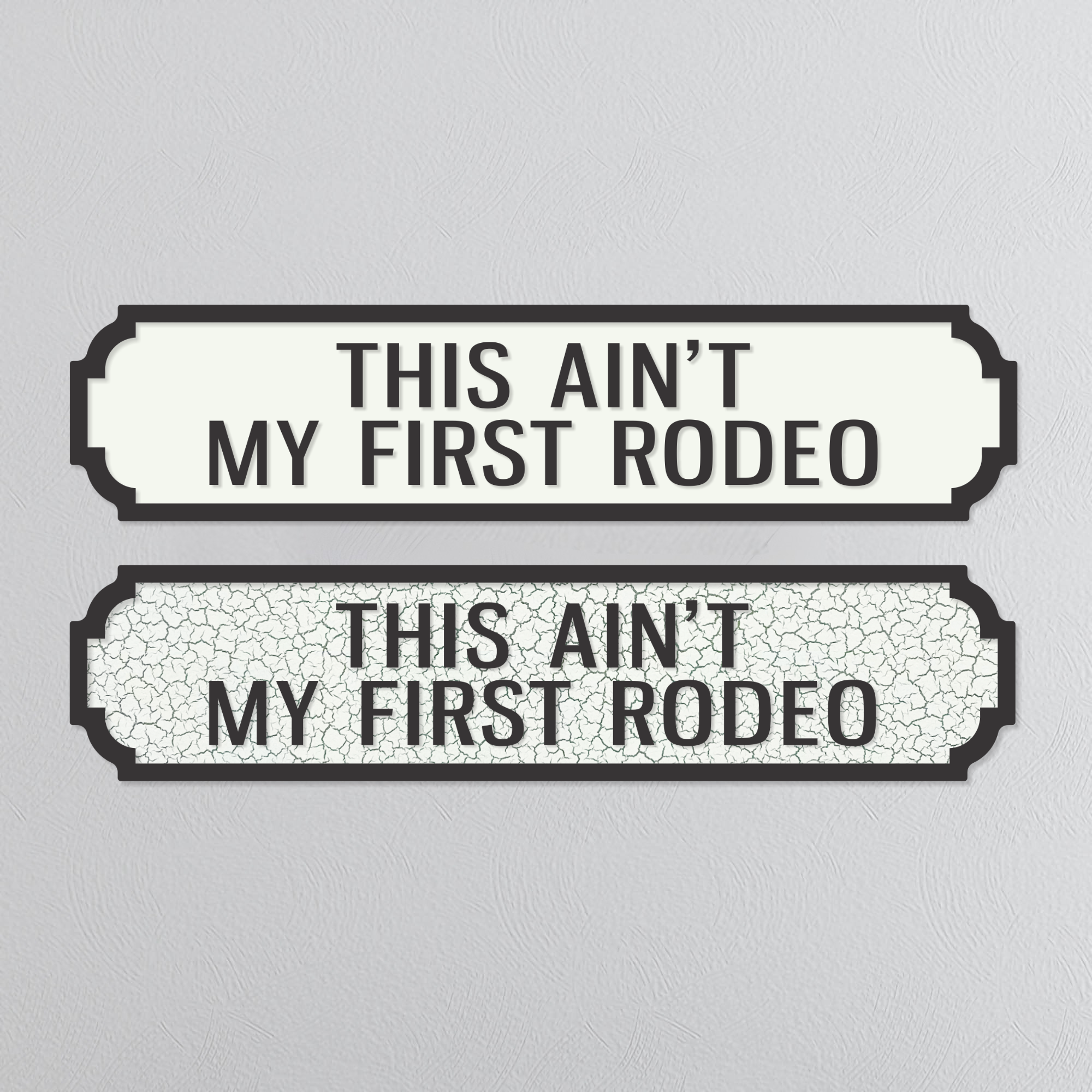 This Ain't My First Rodeo - Vintage Street Sign