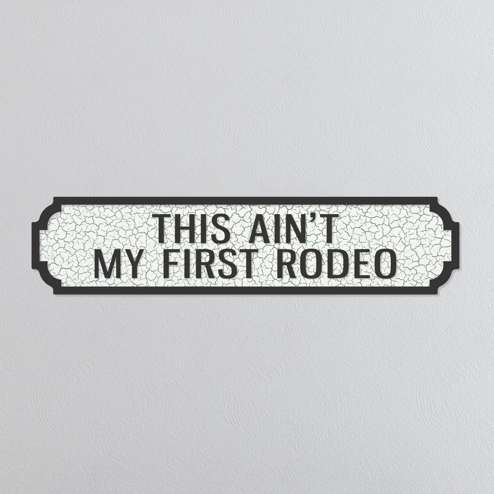 This Ain't My First Rodeo - Vintage Street Sign
