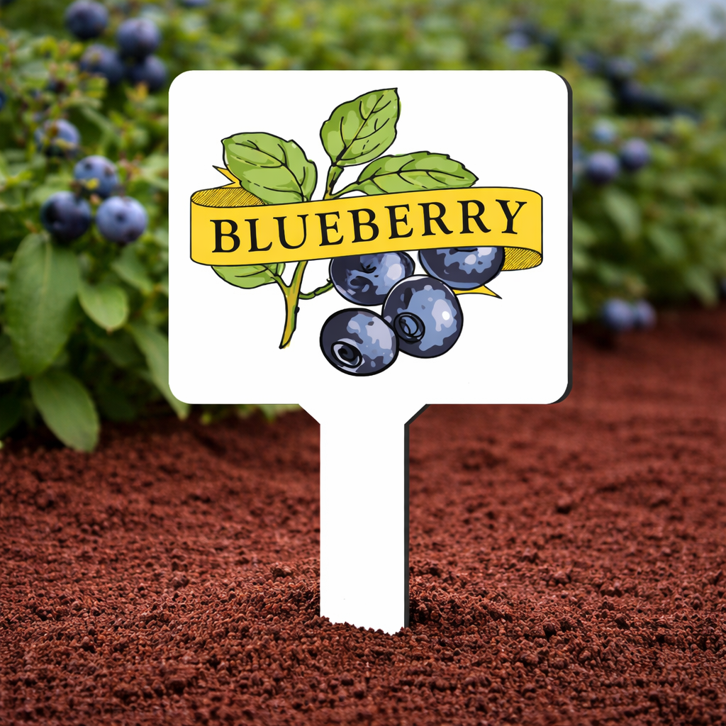 Blueberry Plant Marker