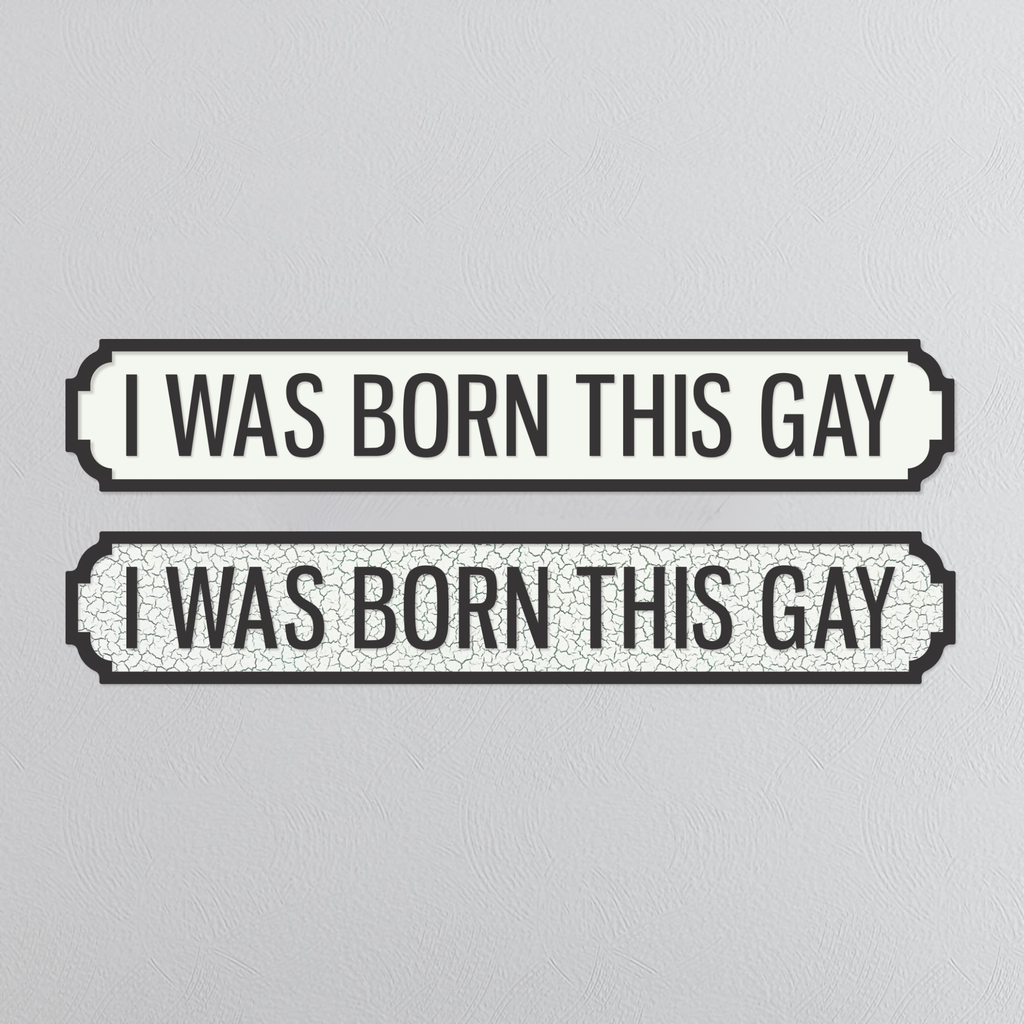 I Was Born This Gay - Vintage Street Sign