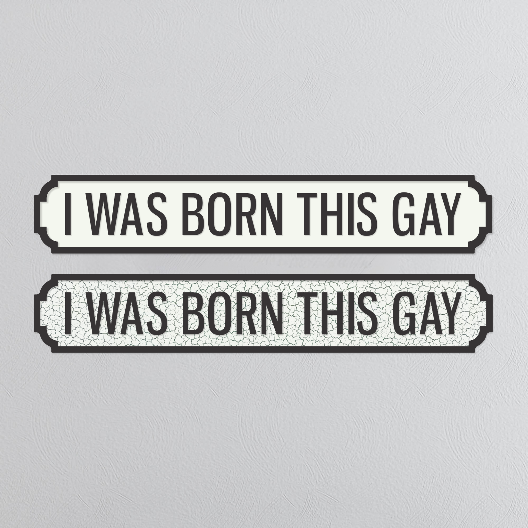 I Was Born This Gay - Vintage Street Sign