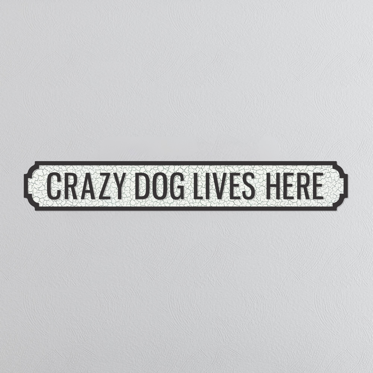 Crazy Dog Lives Here - Vintage Street Sign