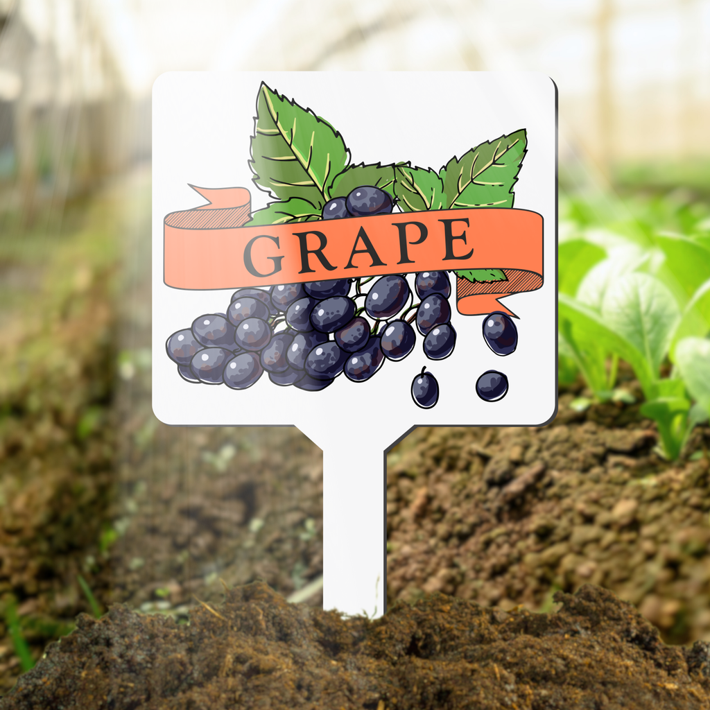 Plant marker with grape lllustration and text