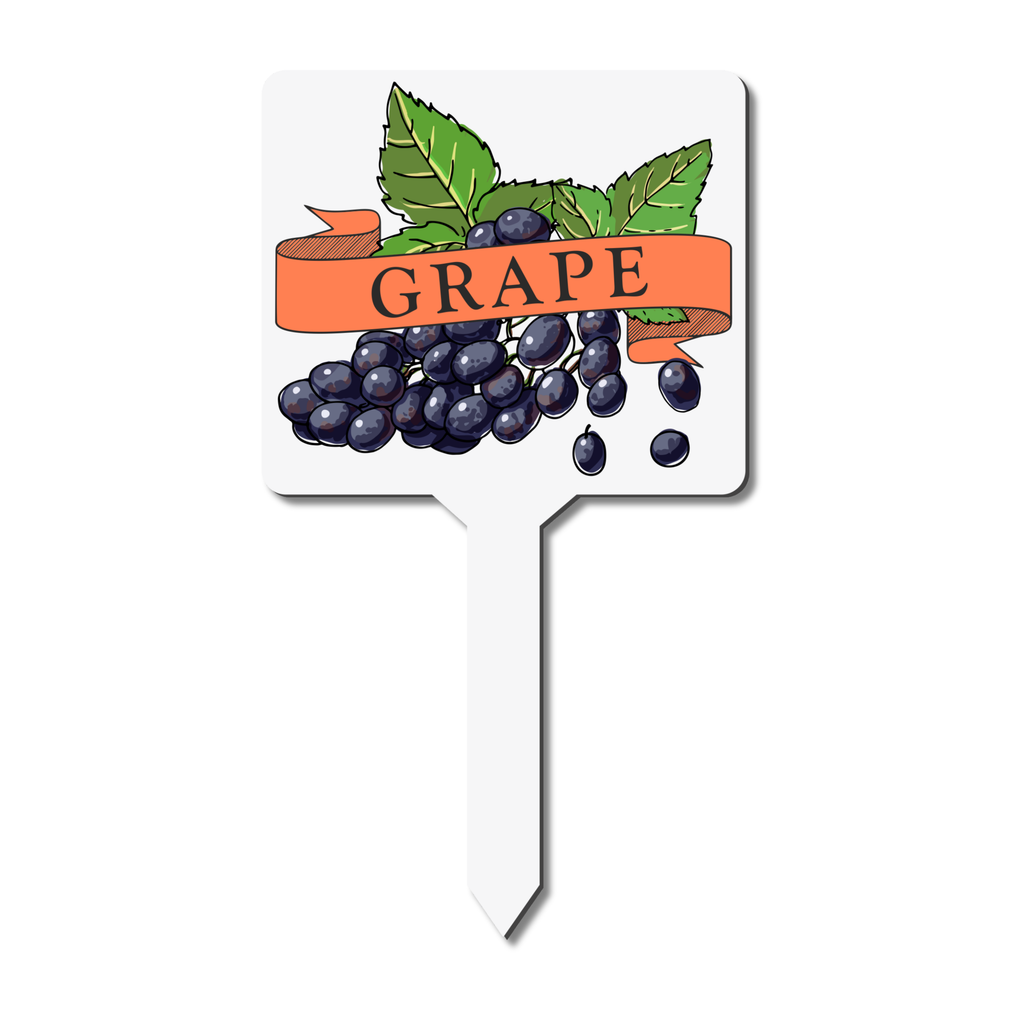 Plant marker with grape lllustration and text