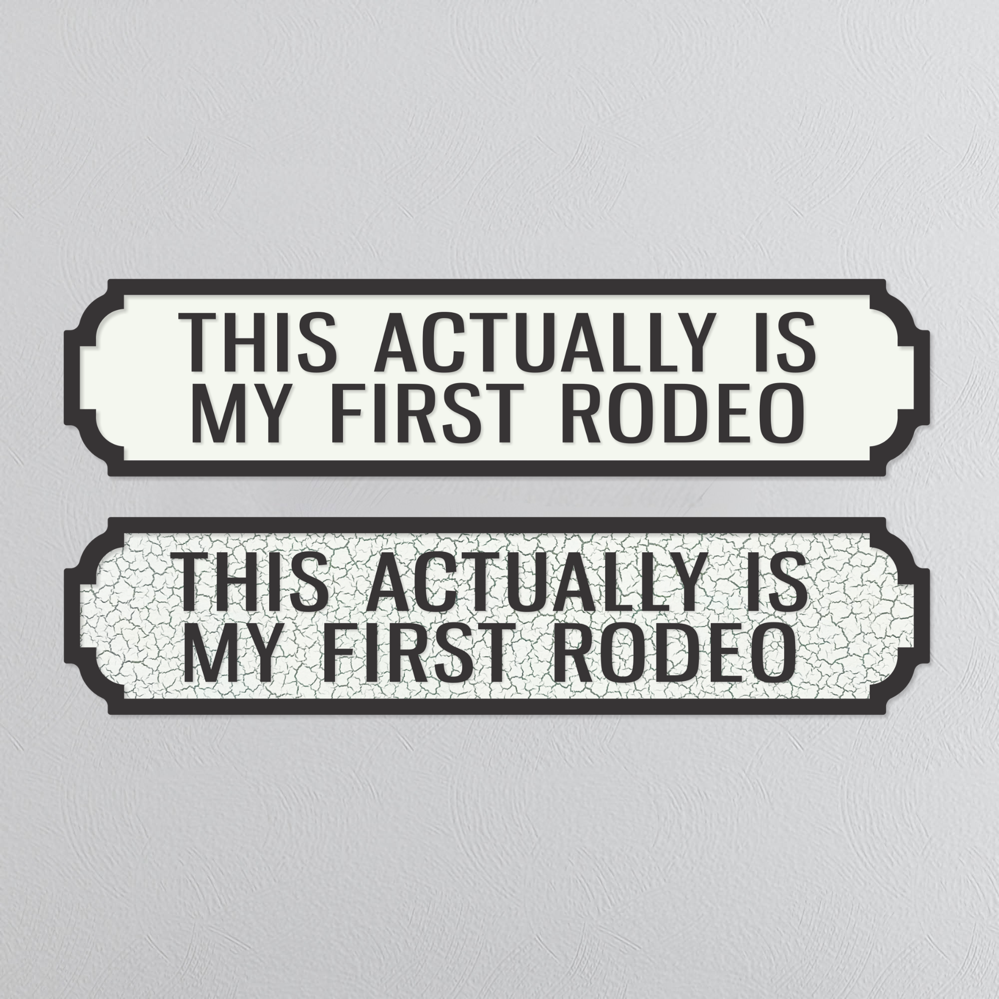 This Actually Is My First Rodeo - Vintage Street Sign