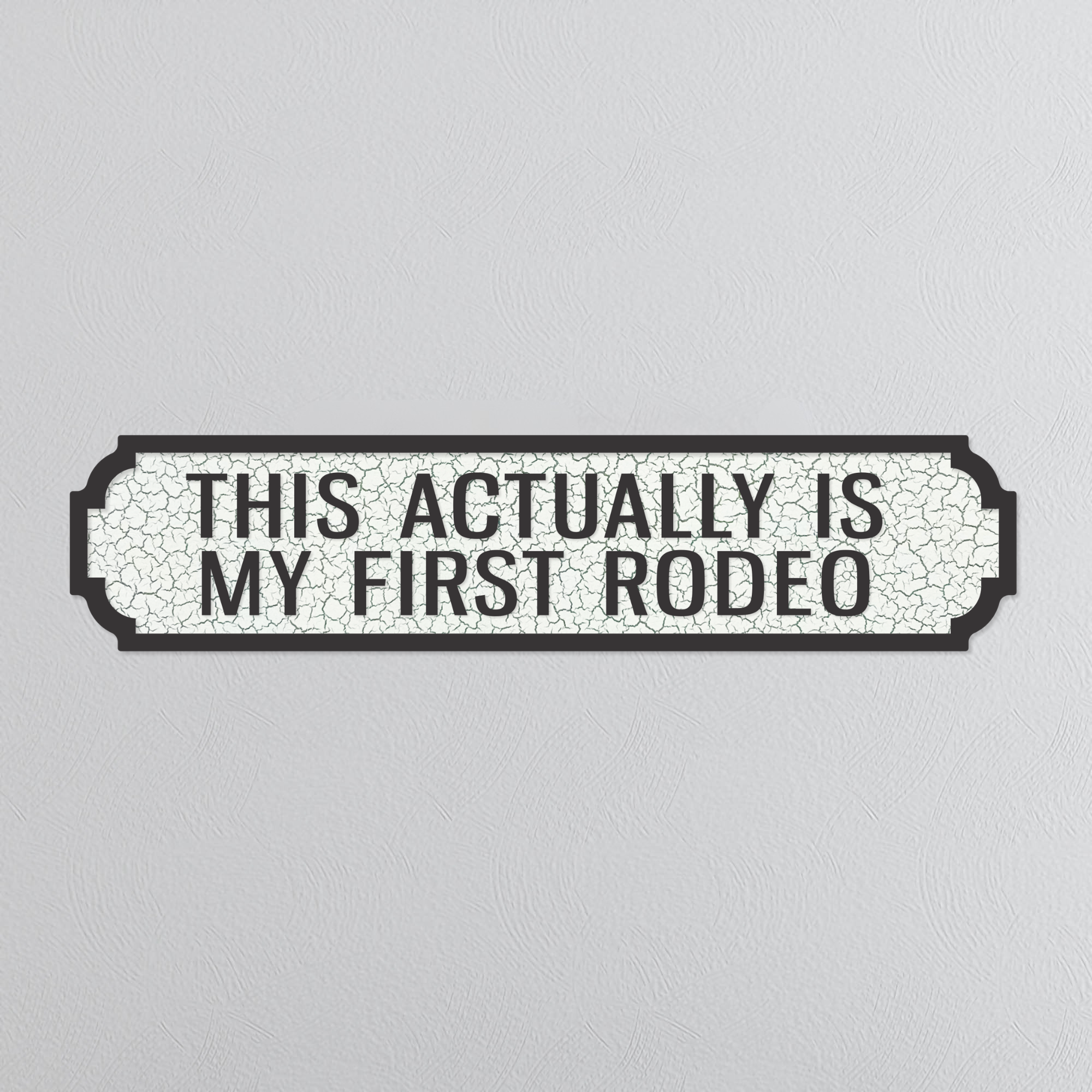 This Actually Is My First Rodeo - Vintage Street Sign