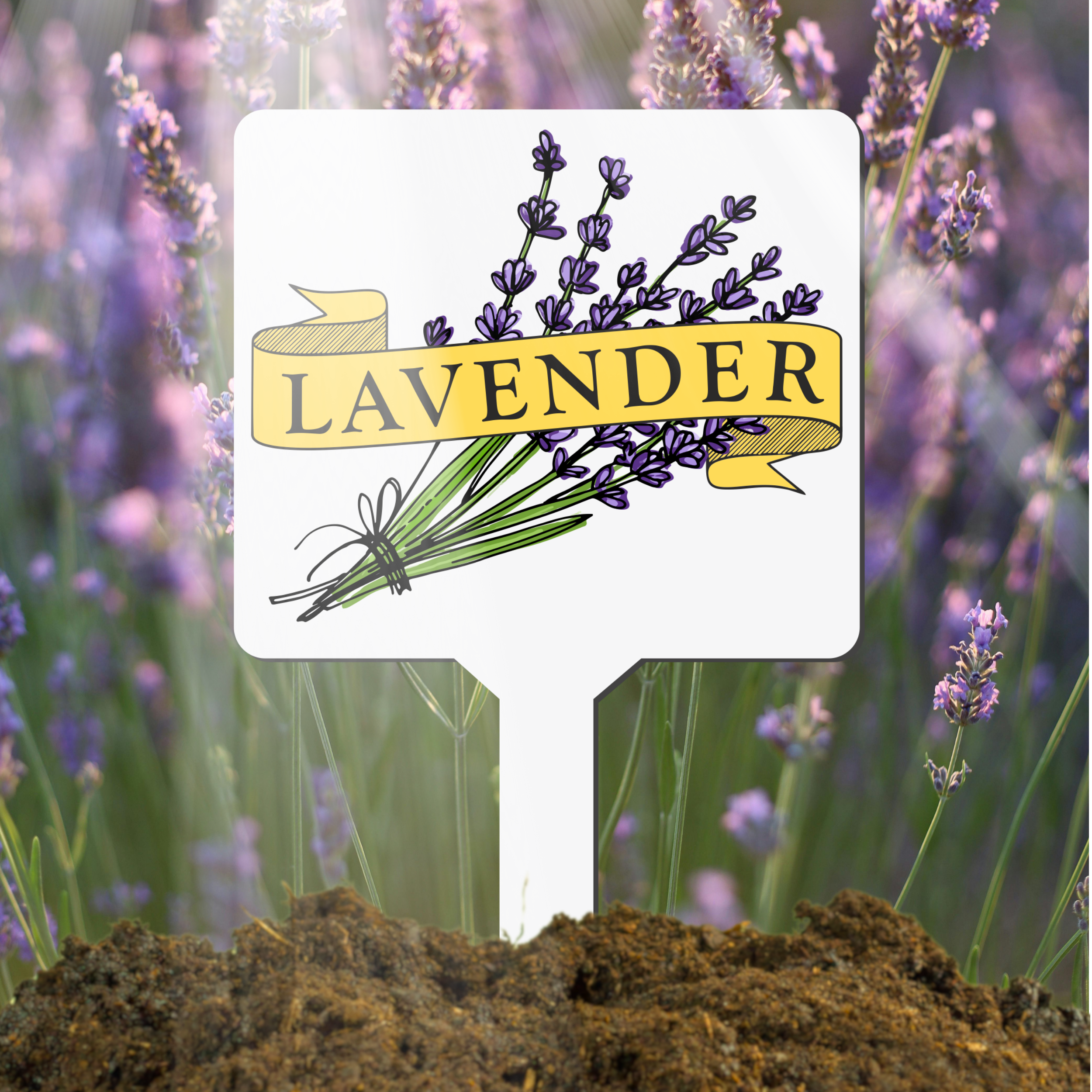 Plant marker with lavender illustration and label in a lavender bush
