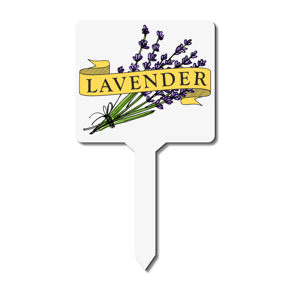 White plant label with lavender illustration and 'LAVENDER' text on a white background