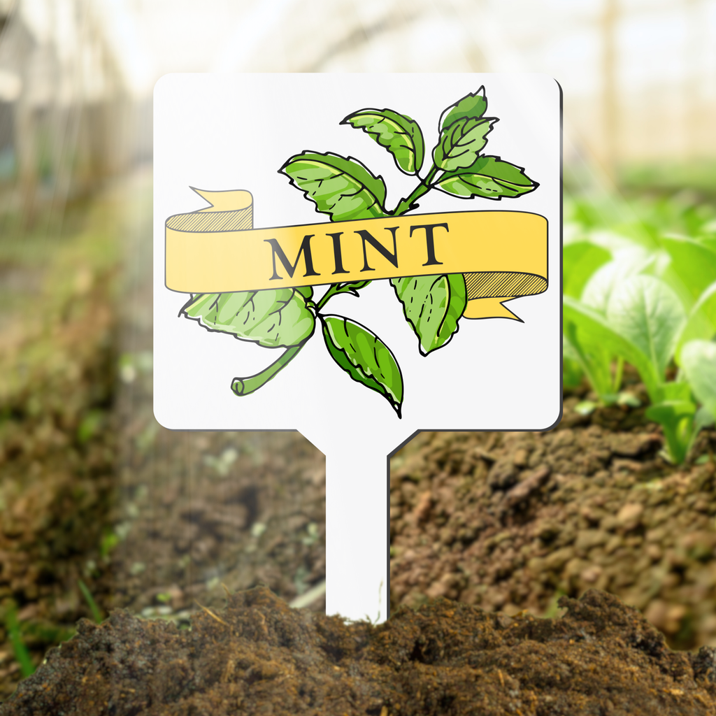 Garden marker with mint plant illustration and 'Mint' text in soil