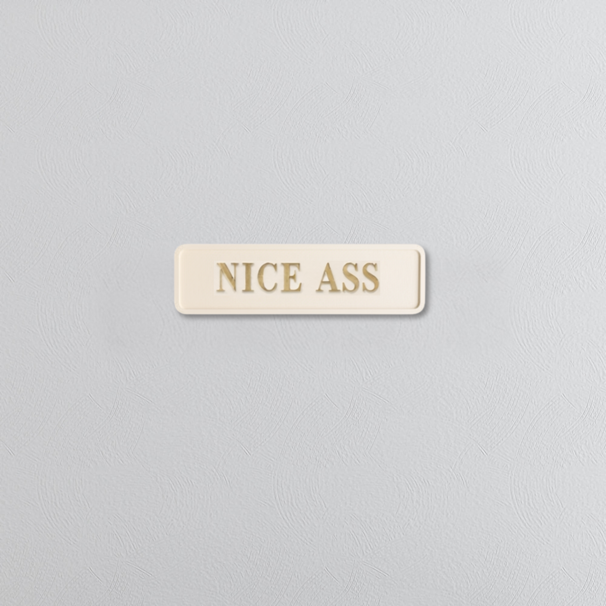 Rectangular beige sign with 'NICE ASS' gold text on a light gray background