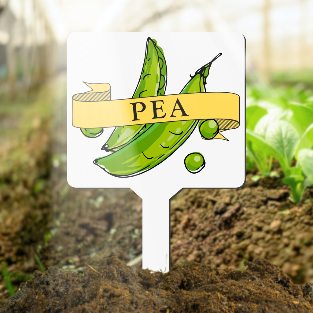 Plant marker with green peas illustration and 'pea' label in a garden setting