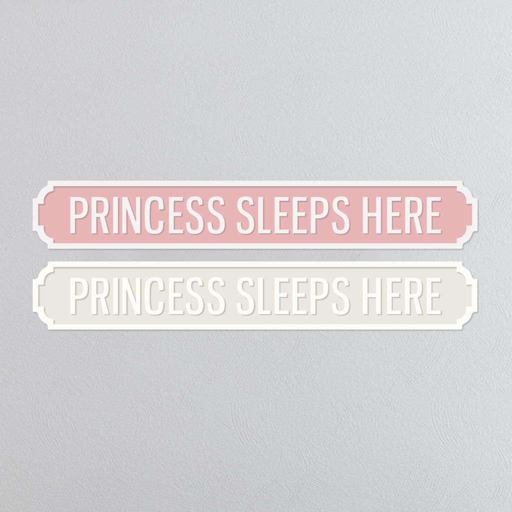 Princess Sleeps Here - Vintage Street Sign
