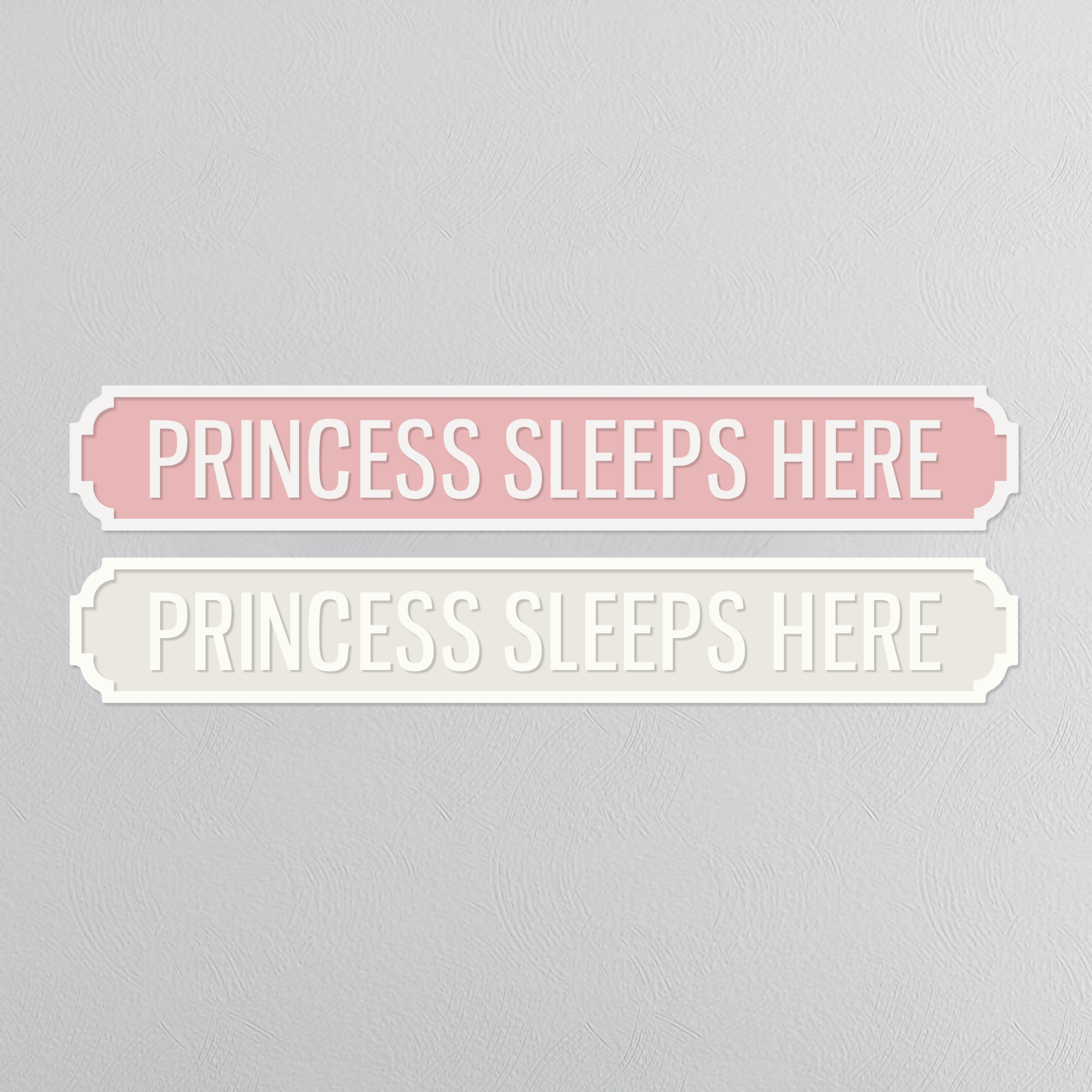 Princess Sleeps Here - Vintage Street Sign