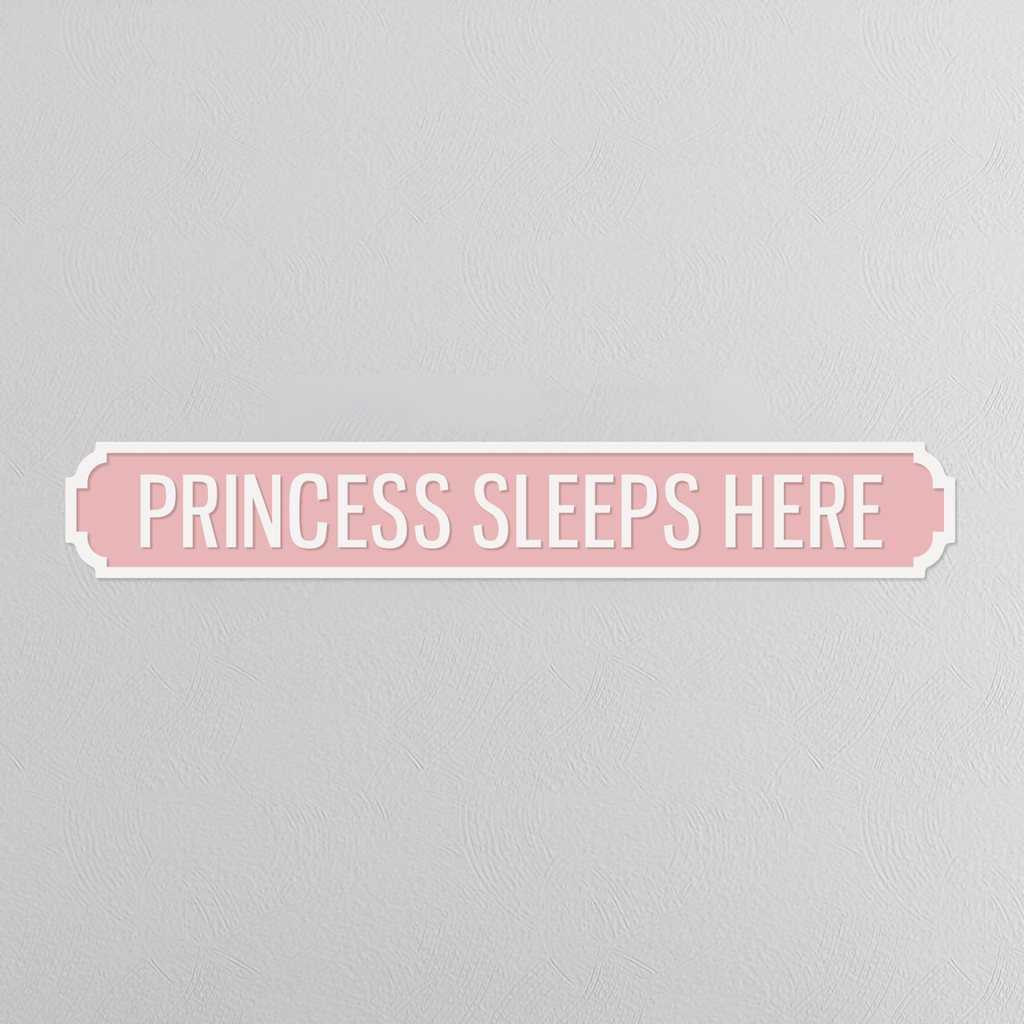 Princess Sleeps Here - Vintage Street Sign
