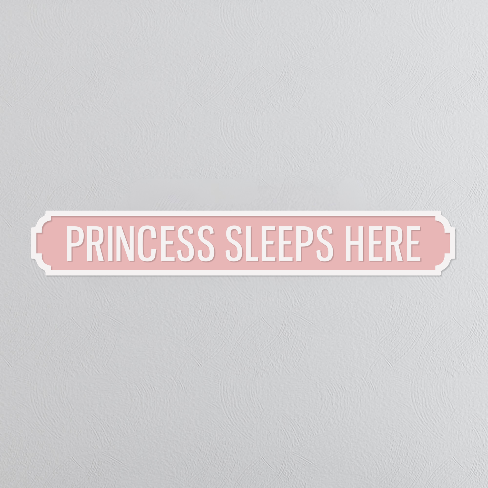 Princess Sleeps Here - Vintage Street Sign
