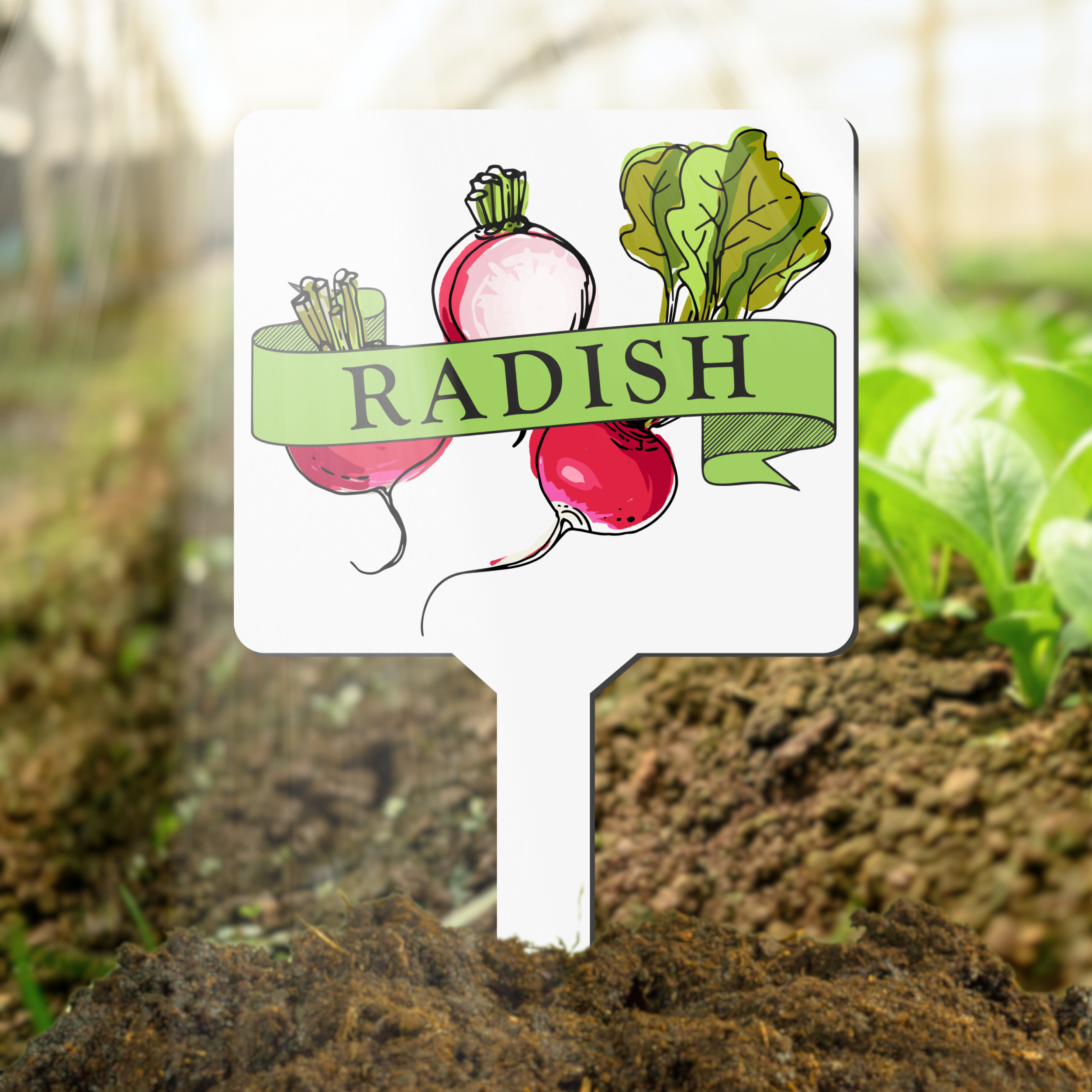 Garden marker with radish illustration and text in a garden setting