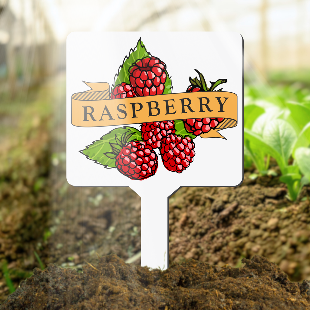 Plant marker with raspberry illustration and text
