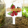 Plant marker with raspberry illustration and text