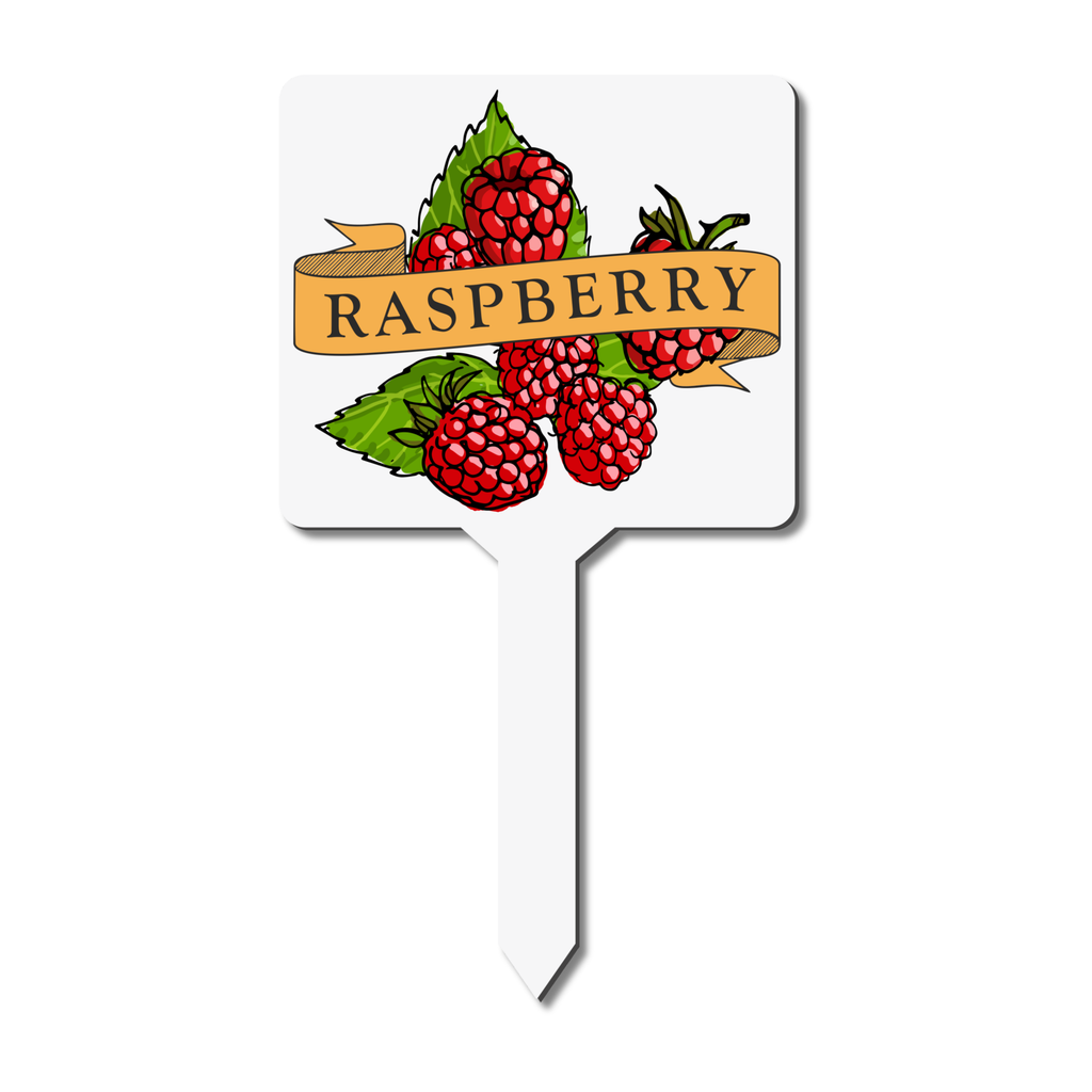 Plant marker with raspberry illustration and text