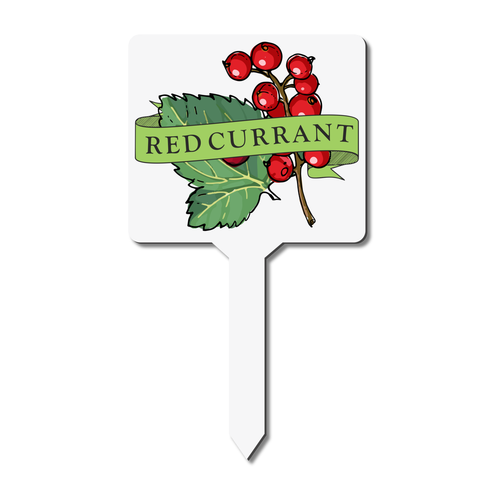 Plant marker with red berry illustration and 'REDCURRANT' text