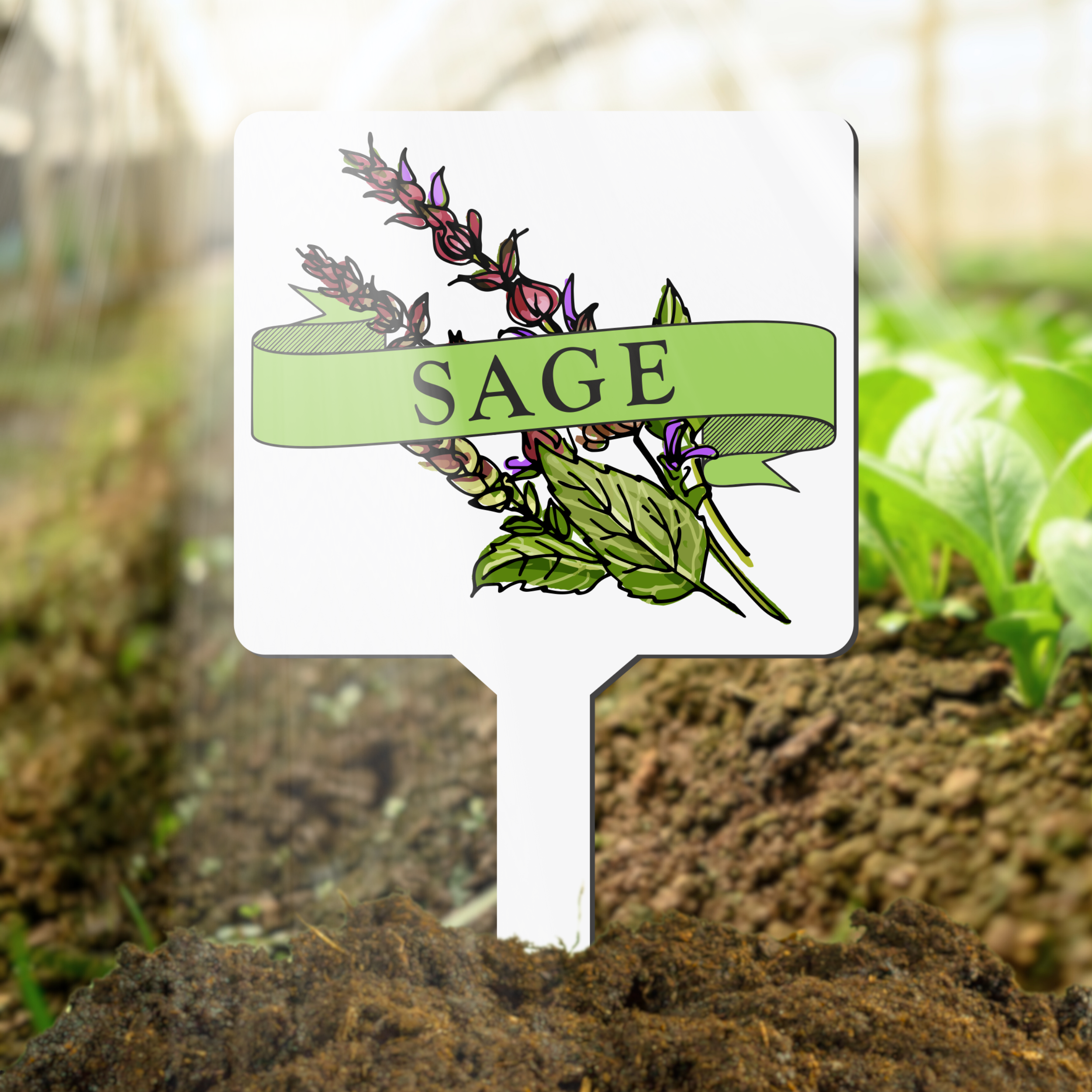 Plant marker with sage herb illustration and label