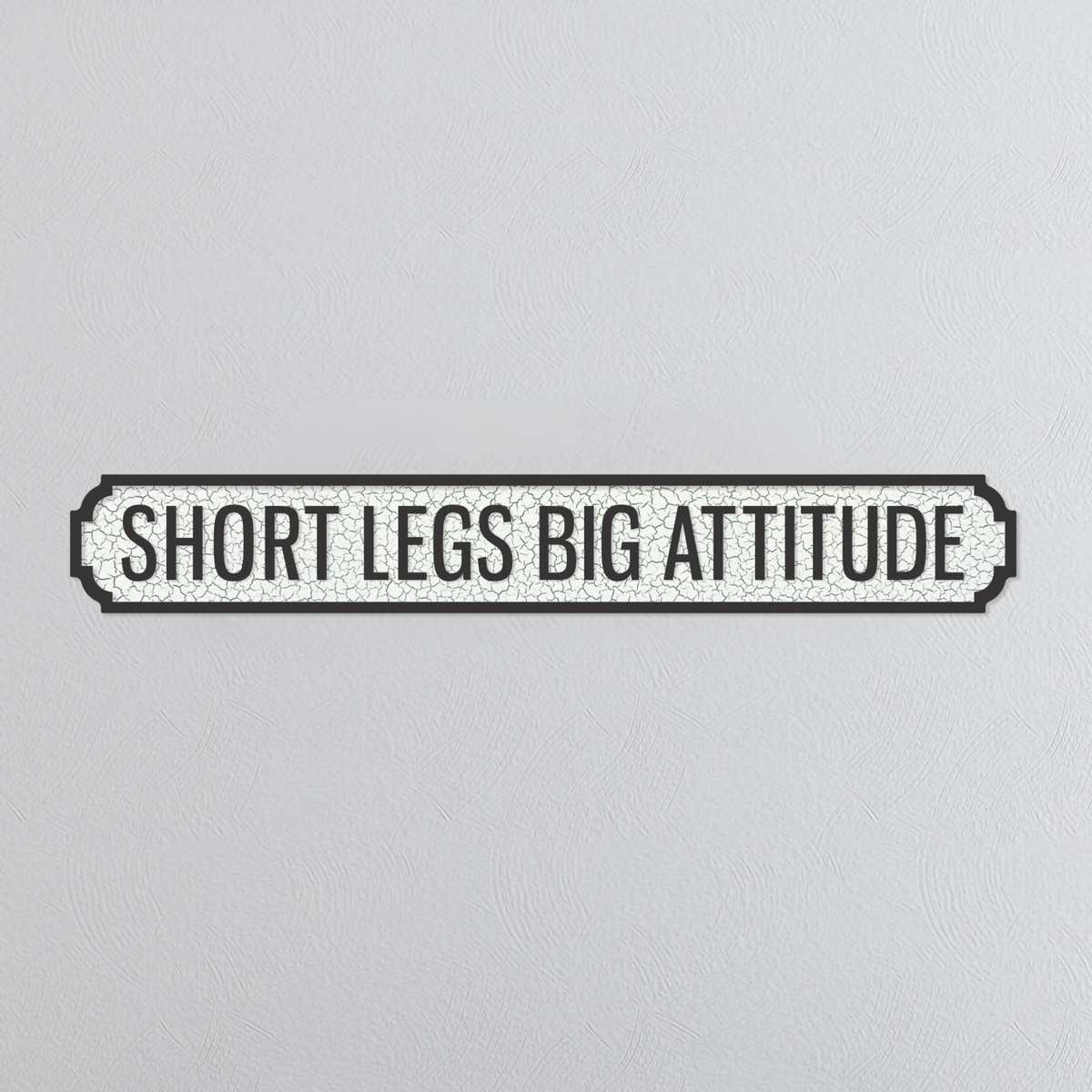 Shorts Legs Big Attitude - Vintage Street Sign