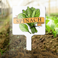 Spinach plant marker with 'Spinach' text in a garden setting