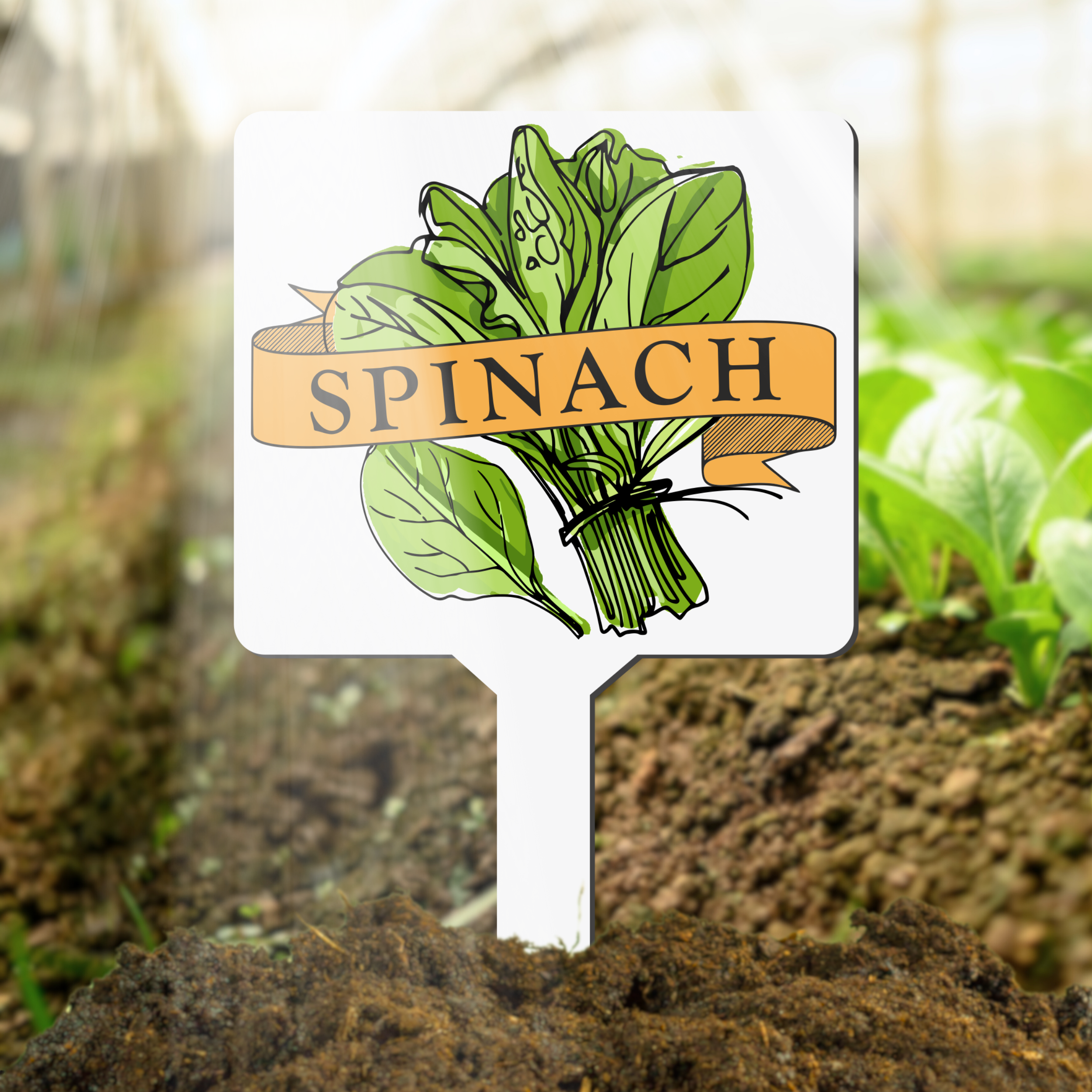 Spinach plant marker with 'Spinach' text in a garden setting