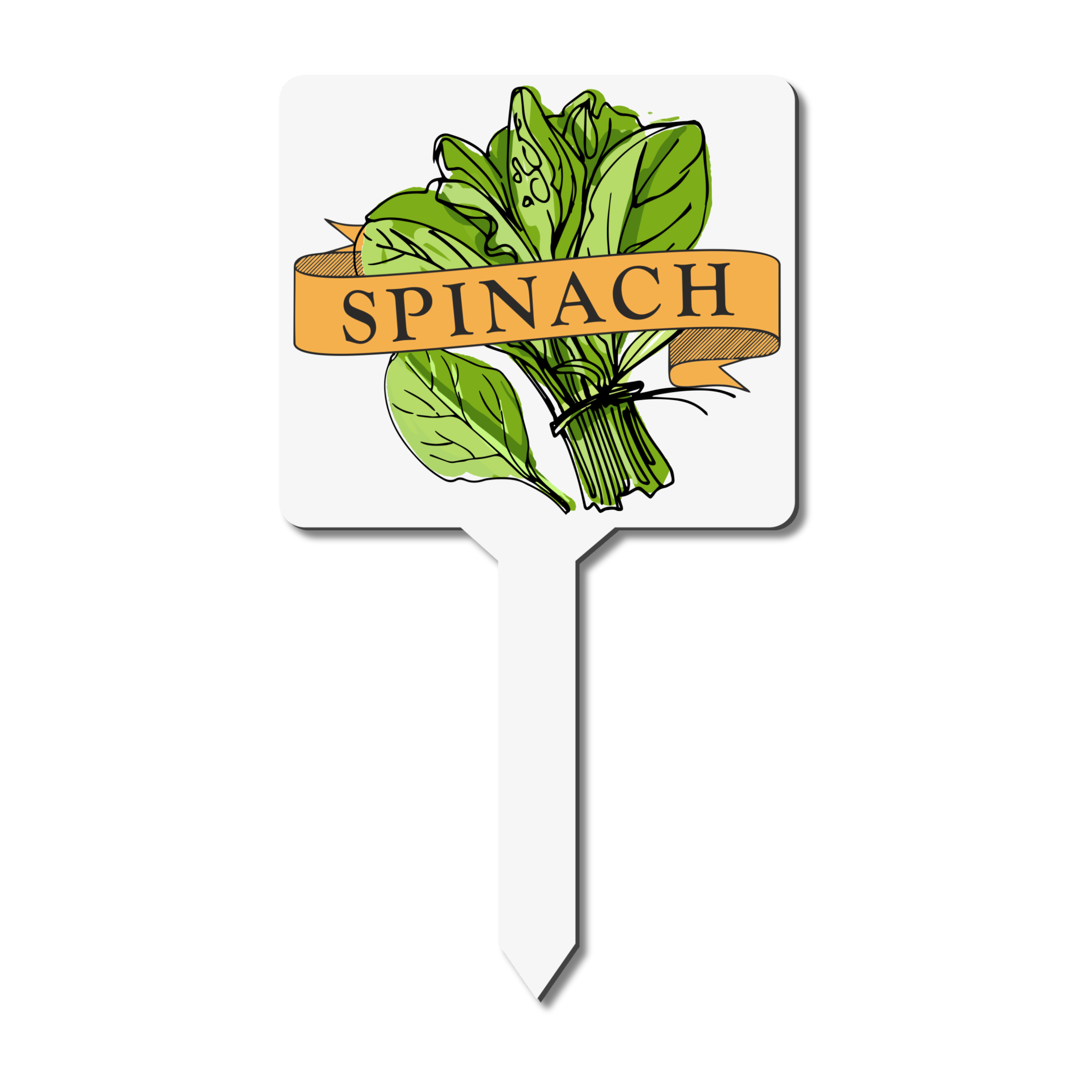 Spinach plant marker with 'Spinach' text