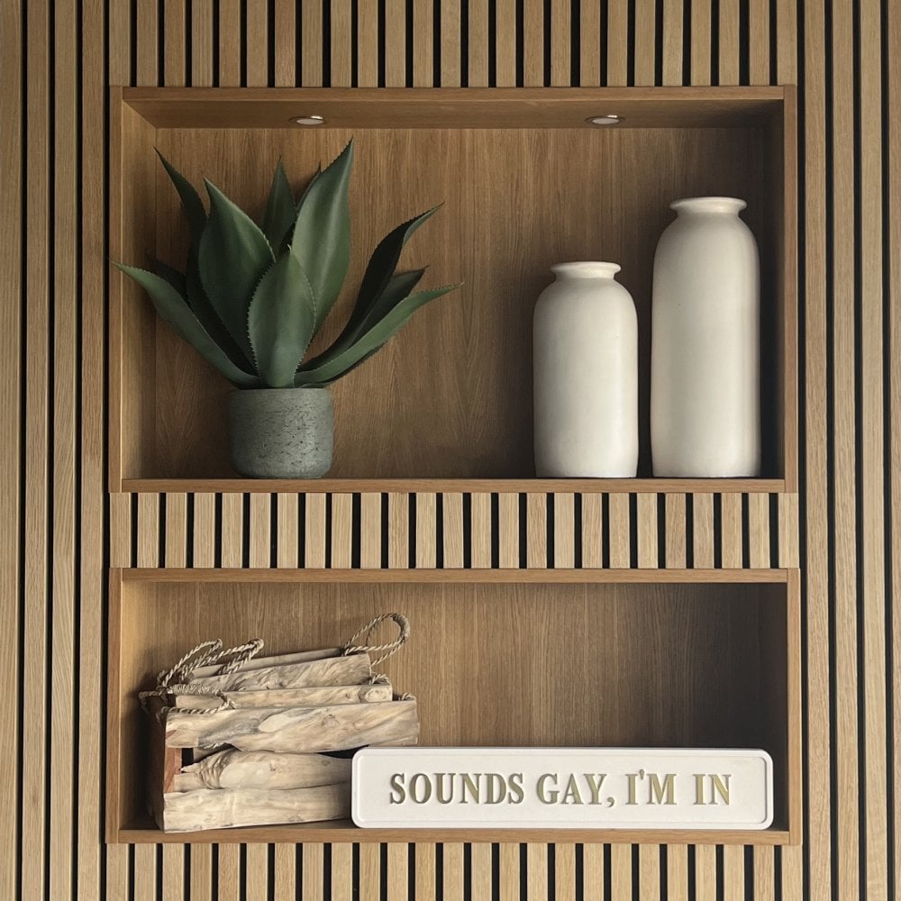 Wooden shelves with decorative items including a plant, vases, and a sign reading 'SOUNDS GAY I'M IN' with gold letters on a striped wall.