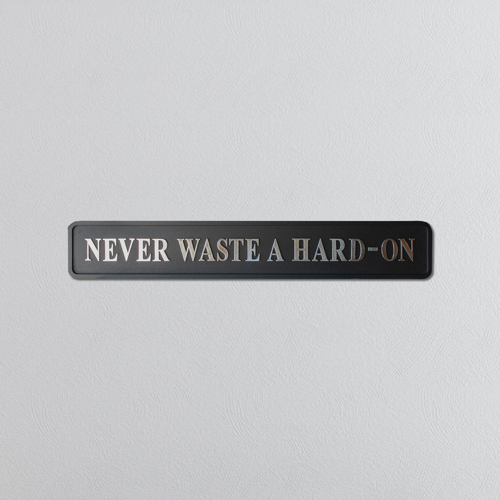 Decorative sign with text 'NEVER WASTE A HARD-ON' in silver foil on a light gray background