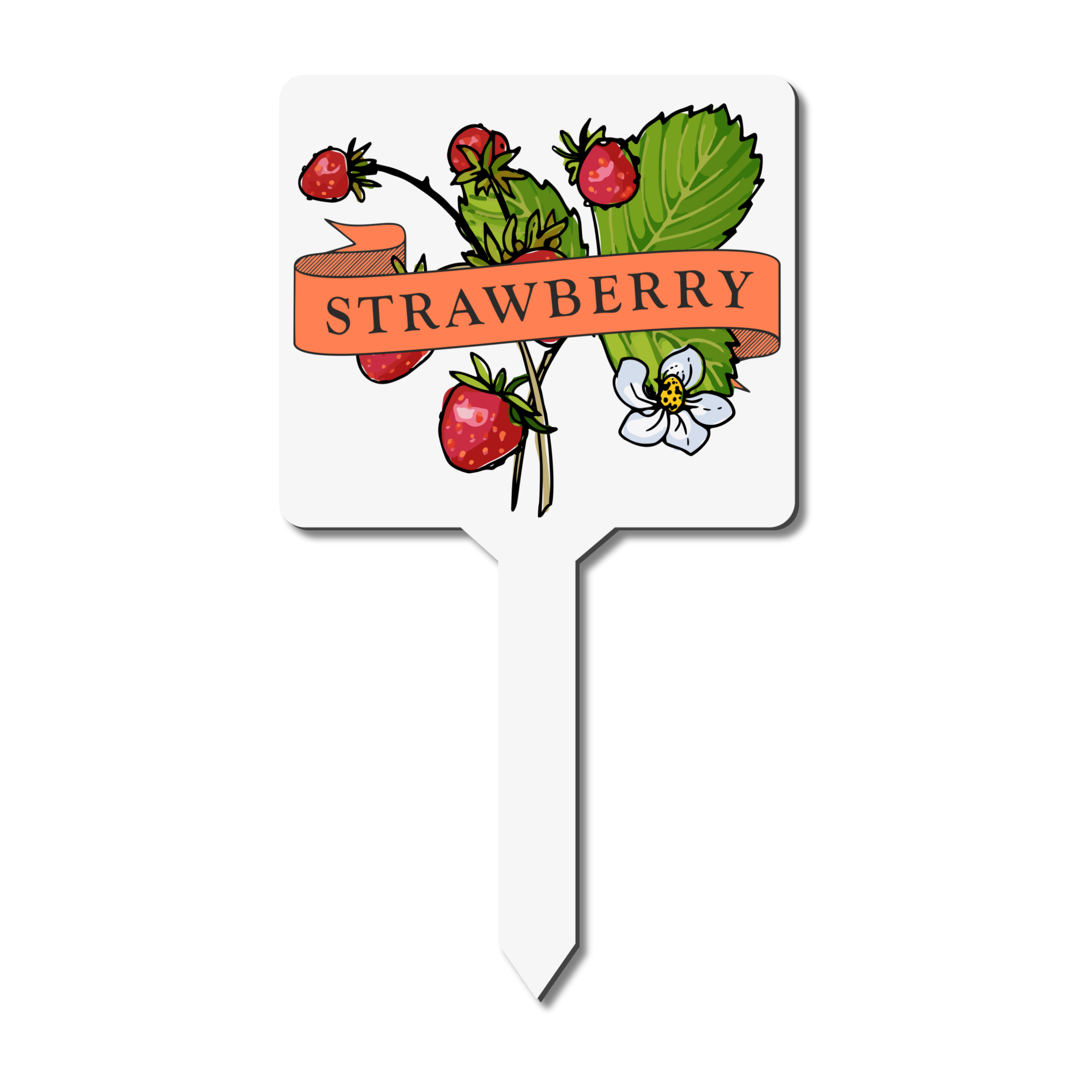 Plant marker with strawberry illustration and text