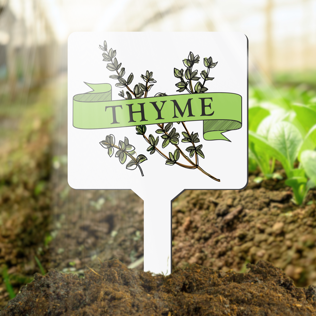 Plant marker with thyme illustration and label